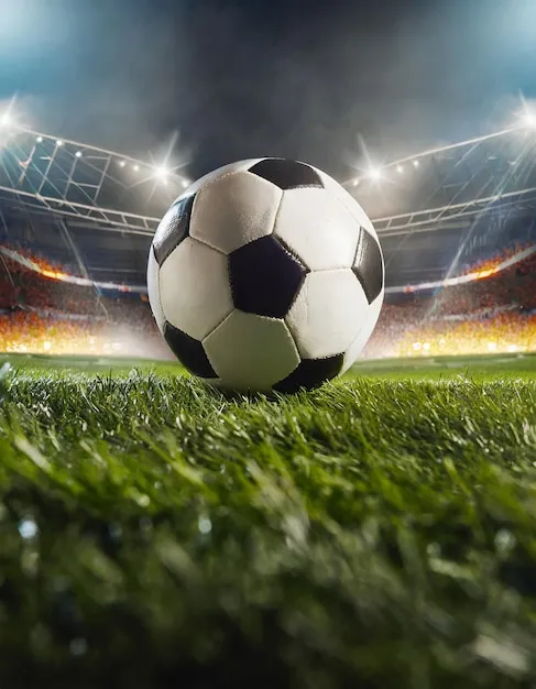 安博体育APP 团队与品牌